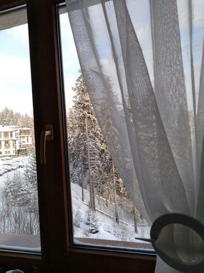 Пампорово Студио Милка В Хотел Росица Kültér fotó
