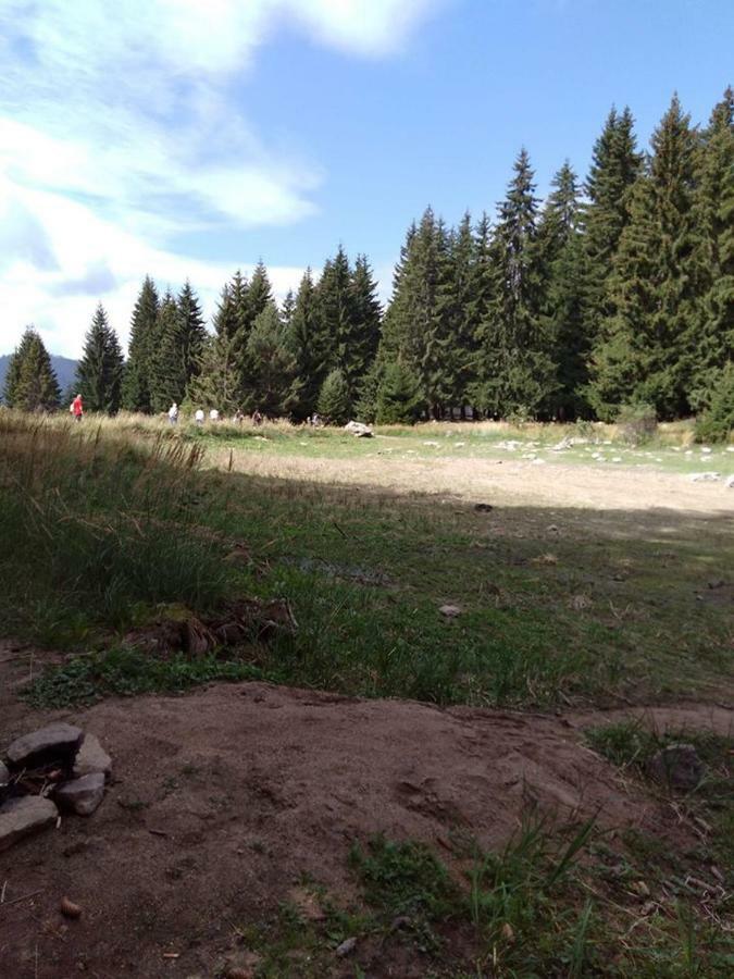 Пампорово Студио Милка В Хотел Росица Kültér fotó
